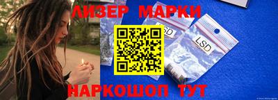 прущие грибы Кандалакша