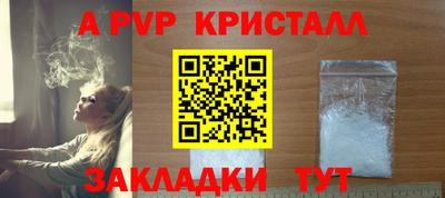 прущие грибы Кандалакша