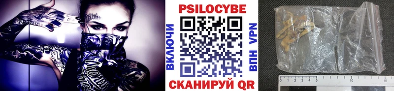 kraken зеркало  Армавир  Галлюциногенные грибы Magic Shrooms 