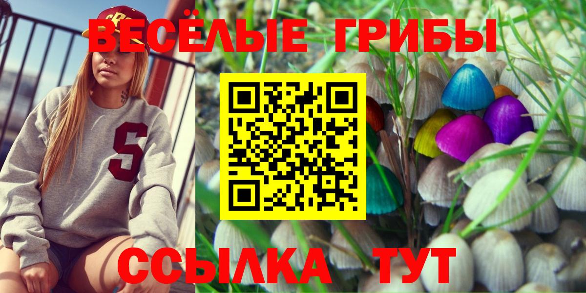 Армавир  Галлюциногенные грибы мицелий  Вход с VPN 