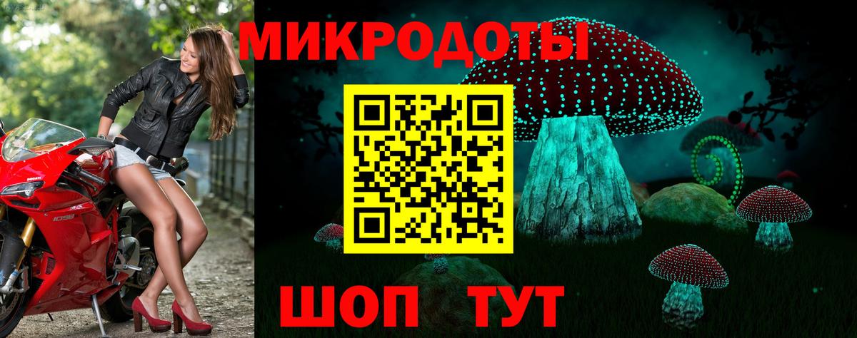 Псилоцибиновые грибы Psilocybine cubensis Армавир